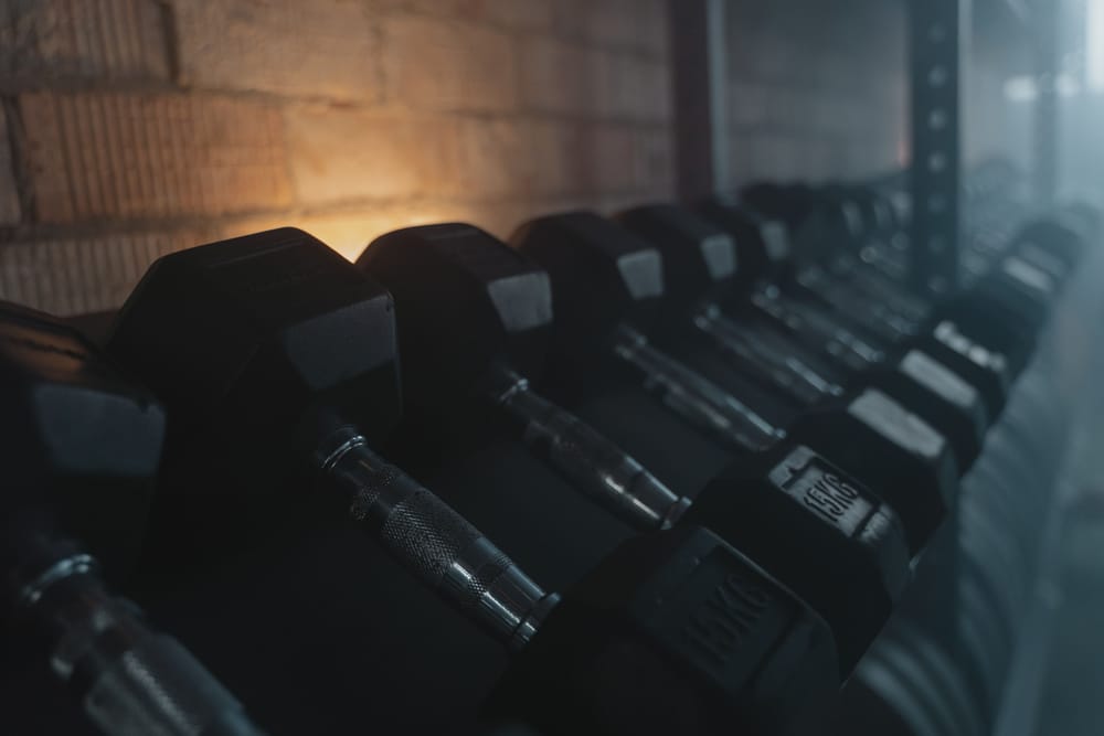 A row of dumbbells on a rack in a softly lit training space