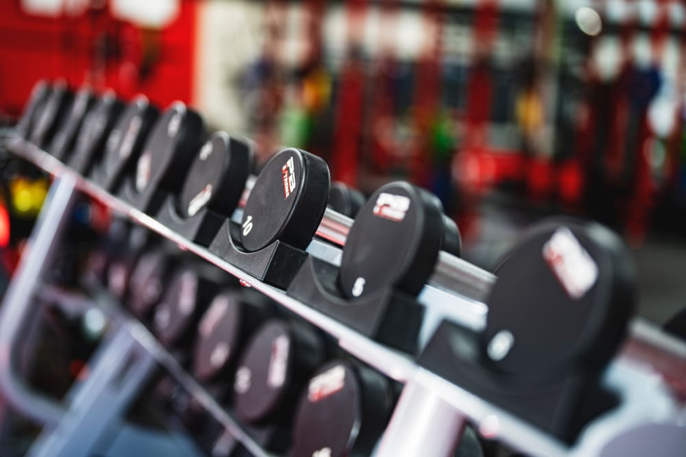 Dumbbells arranged on a rack in a training space