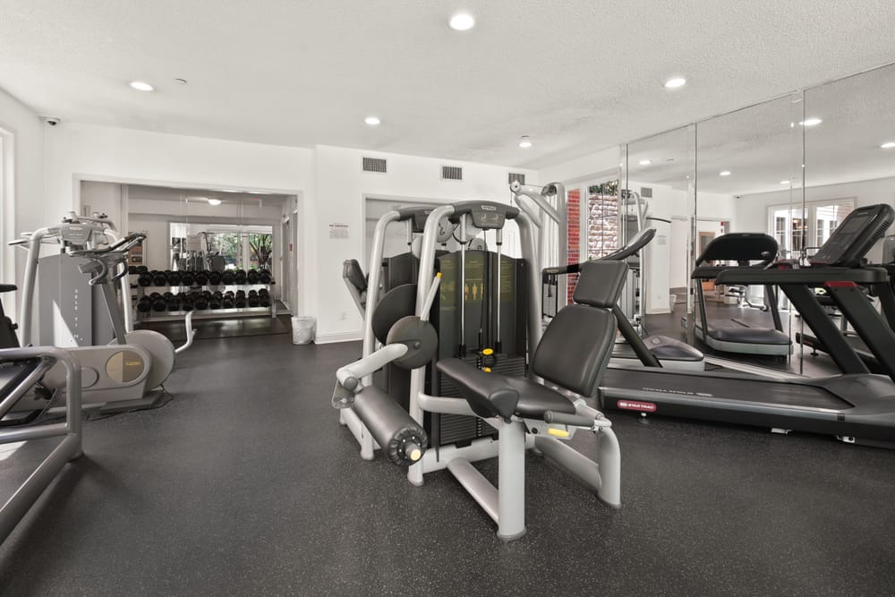Wide view of an empty training room with exercise equipment and daylight